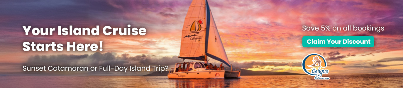 Calypso English Banner