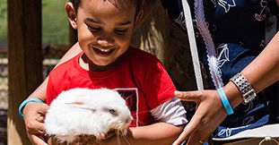 Kids Animal Adventure at Casela