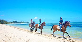 Secluded Horse Riding on the Riambel Beach