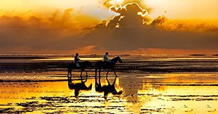 Romantic Sunset Horseback Beach Riding at Riambel