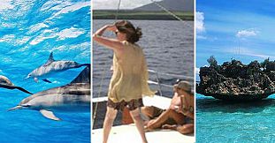 Catamaran Cruise - See Dolphins + Visit Benitiers Island