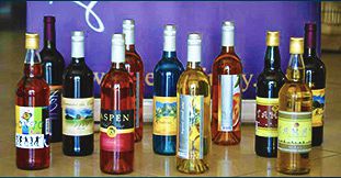 Complete Wine Experience with Wine Tasting at La Joliette Winery