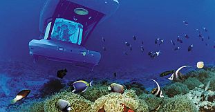 Exclusive Submarine Underwater Trip