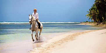 Horse Riding On Belle Mare Beach Horse Riding On Belle Mare Beach