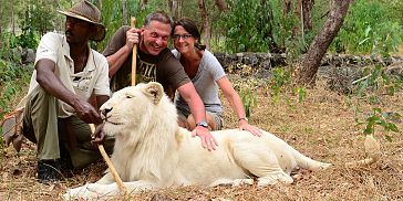 Walking with Lions Adventure in Mauritius Walking with Lions Adventure in Mauritius