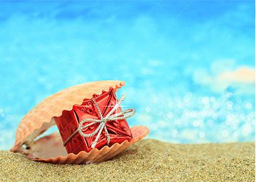 Mauritius Attraction Gift Voucher