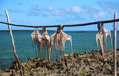 Rodrigues Island Culture