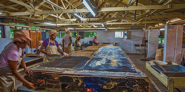 Mauritius south east tour private tour