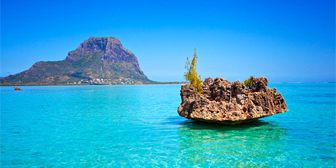 0.00243600 1643106511 exclusive west coast catamaran cruise (1)