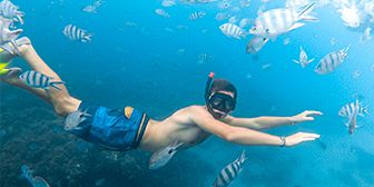 0.00270300 1643106511 exclusive west coast catamaran cruise (8)