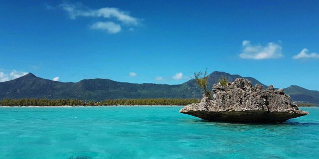 0.68391100 1643106520 exclusive west coast catamaran cruise