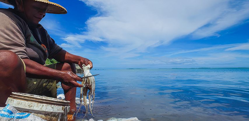 Rodrigues Island Culture