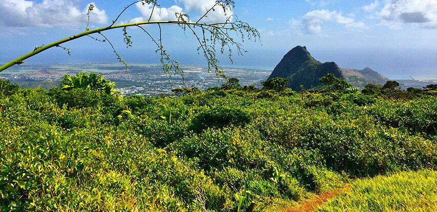 Le Pouce Mountain