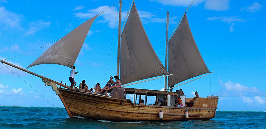 Ile Aux Cerfs Island Tours
