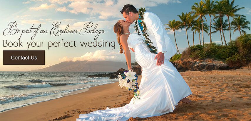 Wedding at Constance Le Prince Maurice